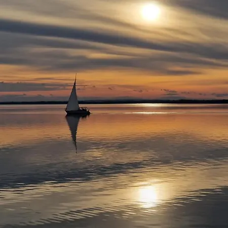 Tavirozsa Gyenesdias