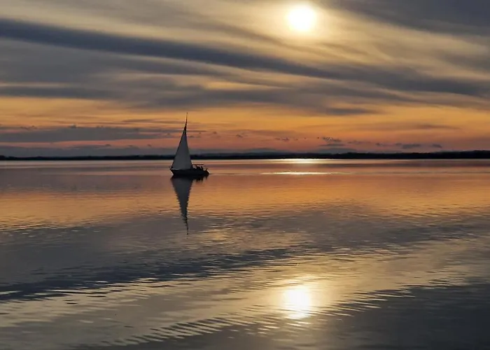 Tavirozsa Gyenesdiás